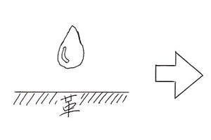 顔料仕上げと染料仕上げの違い